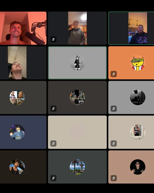 Members on a weekly community video call